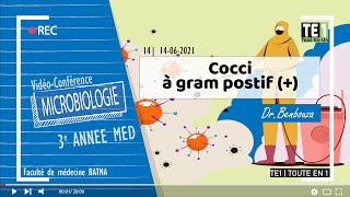 14  Cocci à gram positif [upl. by Gnus101]