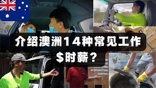 【5分钟了解澳洲工资水平】澳洲工作时薪？介绍14种澳洲常见工作  那些混迹在澳洲社会底层的日子  澳洲华人真实生活纪录片  澳大利亚社会底层华人生活实录  顽强生存的西澳游民 [upl. by Eniliuqcaj663]