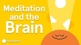 Meditations Impact on the Brain  Expert Videos [upl. by Akimrej]