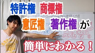 一目で分かる知的財産権の種類と内容特許、商標、意匠、著作権知的財産全体編 [upl. by Arihaz]