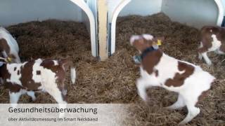 FörsterTechnik Smart Calf System deutsch [upl. by Nereus]