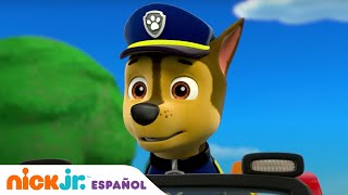 PAW Patrol  ¡Chase tiene la solución  Nick Jr en Español [upl. by Neryt]