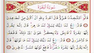 Surah 02 Al Baqarah By Saad Al Ghamdi [upl. by Giulia292]