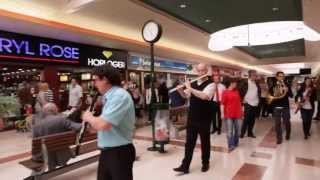 Flashmob symphonique  Centre commercial Auchan Noyelles [upl. by Sholem]