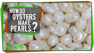 How Do Oysters Make Pearls [upl. by Roberts101]