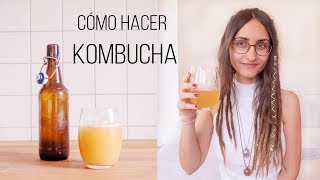 Kombucha hecho en casa [upl. by Milson]