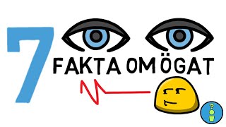 7 FAKTA OM ÖGAT [upl. by Ennaylime]