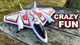 This RC Plane Will Make You Look Like a PRO  Eflite UMX Ultrix  TheRcSaylors [upl. by Billen381]