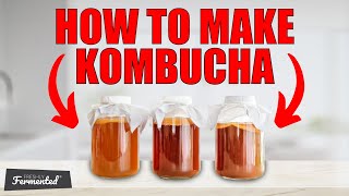 How To Make Kombucha  Tutorial [upl. by Sedlik]