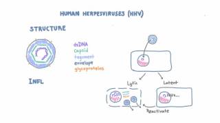 Diagnosis and Treatment of HPVPositive HNC [upl. by Dal]