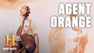 What Is Agent Orange  History [upl. by Acirt944]