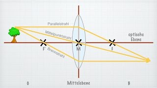 Linsen in der Optik [upl. by Jarlathus]