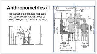 T1  Anthropometrics 1 [upl. by Anaiviv]