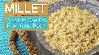 What Millet Can Do For Your Body  5 Benefits [upl. by Bradly]