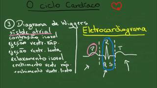 O Ciclo Cardíaco  Resumo  Fisiologia [upl. by Aray964]