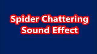 Spider Chattering Sound Effect [upl. by Yrovi967]