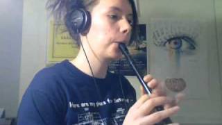 Traditional Irish Tin Whistle Songs [upl. by Clint]