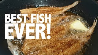 How to cook and prepare the perfect Dover sole  Classic a la meunière recipe [upl. by Kilbride515]