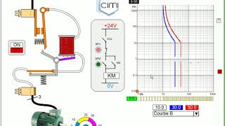 PROSIMUL  Simulation DISJONCTEUR Magnéto Thermique [upl. by Blakelee689]