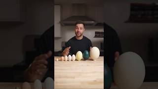 I Cooked the World’s CRAZIEST Eggs [upl. by Tare]