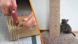 DIY Cat Scratching Post [upl. by Merell930]