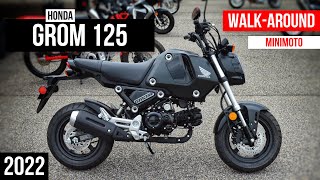 2022 Honda Grom 125 Walkaround Black  125cc miniMOTO Motorcycle [upl. by Babcock813]