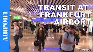 TRANSIT WALK AT FRANKFURT Airport FRA Terminal 1  Connection Flight Transfer Arriving amp Departing [upl. by Ramona717]