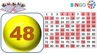 90Ball  Bingo Caller Game1 New [upl. by Ahseyn]