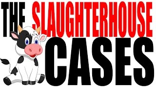 The Slaughterhouse Cases Interpreting the 14th Amendment [upl. by Zorine]