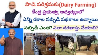 How many Central Government Subsidy Loans available for Dairy Farming Telugu  Dr Madankumar Vet [upl. by Novyaj]