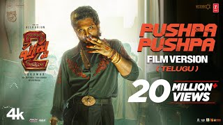 PUSHPA PUSHPA Telugu Film Version  Pushpa 2 The Rule  Allu Arjun  Sukumar  DSP [upl. by Coralyn]