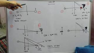 Biomechanics of Hip joint [upl. by Johan696]