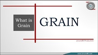 What is Grain in Data warehouse [upl. by Angadresma]