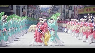 2019 ほにやよさこい（HONIYA YOSAKOI） [upl. by Krock]