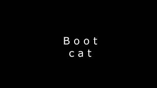 boots and cats 1 hour version [upl. by Fishbein356]