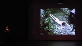 Raquel Cecilia Mendieta The Films of Ana Mendieta [upl. by Vocaay]