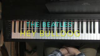 Hey Bulldog The Beatles  Piano Tutorial [upl. by Aizat]