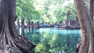 Lago de Camécuaro Michoacán México [upl. by Ardnohs]