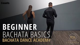 Bachata Beginner Basic Steps Tutorial  Demetrio amp Nicole  Bachata Dance Academy [upl. by Prestige]