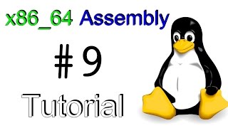 x8664 Linux Assembly 9  Command Line Arguments [upl. by Rochella]