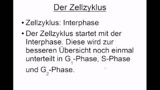 Zellzyklus aus Interphase und Mitose [upl. by Gabriello]