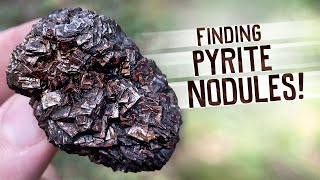 Finding Pyrite Nodules [upl. by Anastasie]