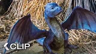 Feeding A Dragon Movie Clip  Eragon 2006 [upl. by Einaffit]