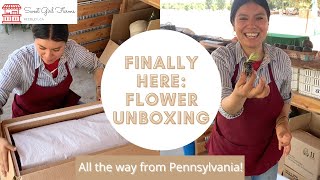 Farmer Bailey Flower Plug Unboxing Lisianthus [upl. by Aznofla]