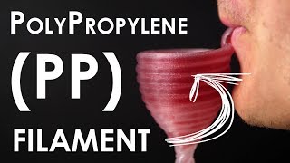 3D printing Polypropylene PP filament  FormFutura Centaur PP™ REVIEW [upl. by Omor]