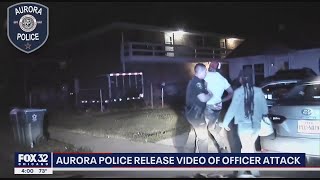 COP ATTACKED Illinois police officer beaten and strangled during traffic stop [upl. by Auop277]