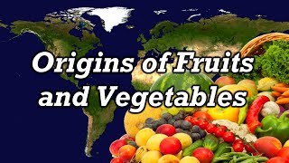 Origins of Fruits and Vegetables [upl. by Huberman779]