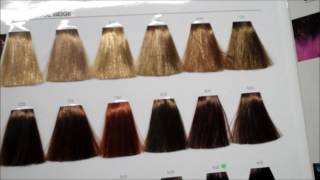 Learn hair tones and neutralising colours with the colour star theory [upl. by Odradlig790]