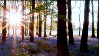 HORST JANKOWSKI  A WALK IN THE BLACK FOREST [upl. by Eiramnwad]