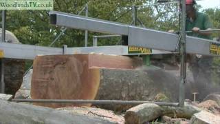 Through amp Through and Quarter Sawn  cutting timber [upl. by Baudin]